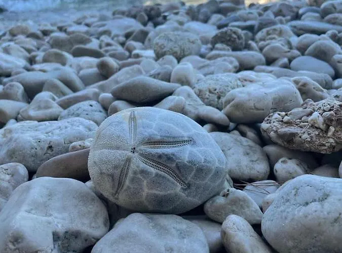 Feriehus House Natale *